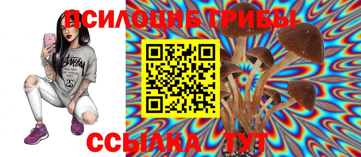 Всеволожск  Псилоцибиновые грибы мицелий  Вход с VPN  Галлюциногенные грибы Cubensis 