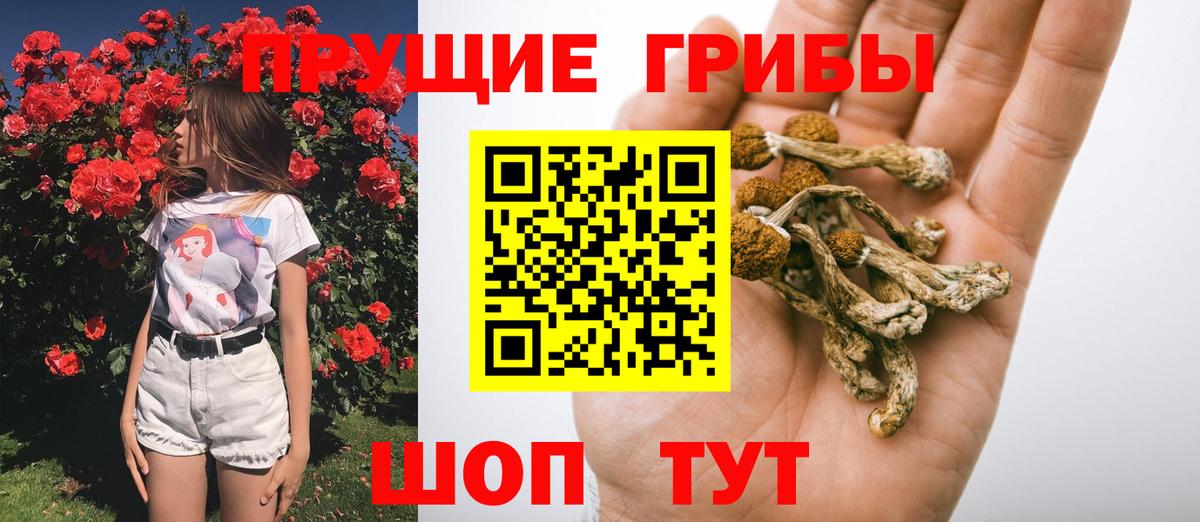 Псилоцибиновые грибы MAGIC MUSHROOMS Всеволожск